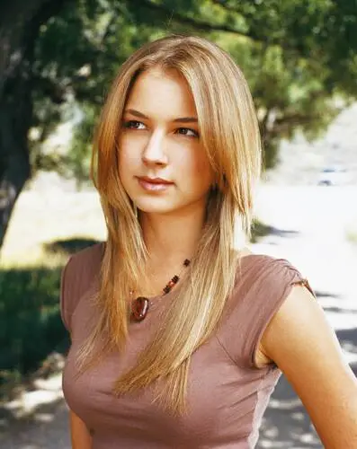 Emily VanCamp Wall Poster picture 616690