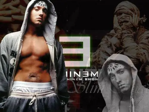 Eminem Fridge Magnet picture 304946