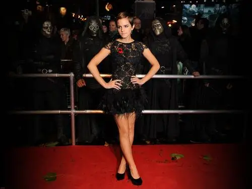 Emma Watson Wall Poster picture 134629