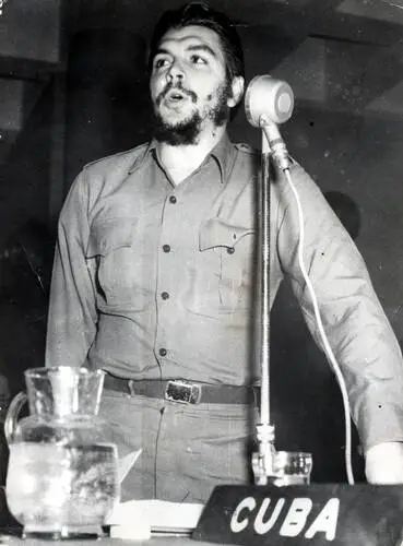 Ernesto Che Guevara Fridge Magnet picture 478330
