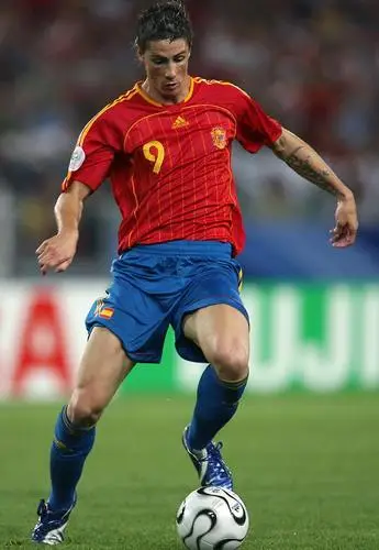 Fernando Torres Wall Poster picture 87686