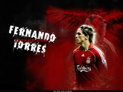 Fernando Torres Wall Poster picture 87690