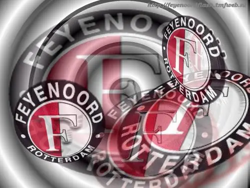 Feyenoord White T-Shirt - idPoster.com