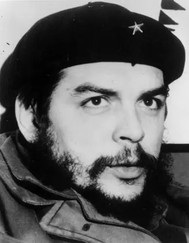 Fidel Castro Fridge Magnet picture 478343