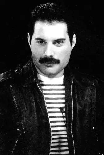 Freddie Mercury Wall Poster picture 355704