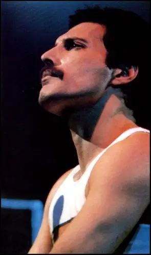 Freddie Mercury Wall Poster picture 355717