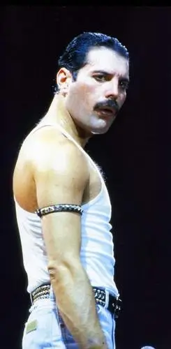Freddie Mercury White T-Shirt - idPoster.com