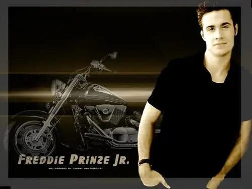 Freddie Prinze Jr Fridge Magnet picture 96153