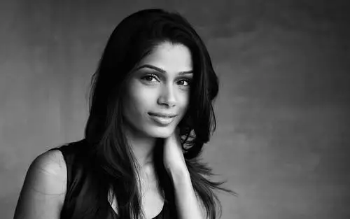 Freida Pinto Wall Poster picture 79355