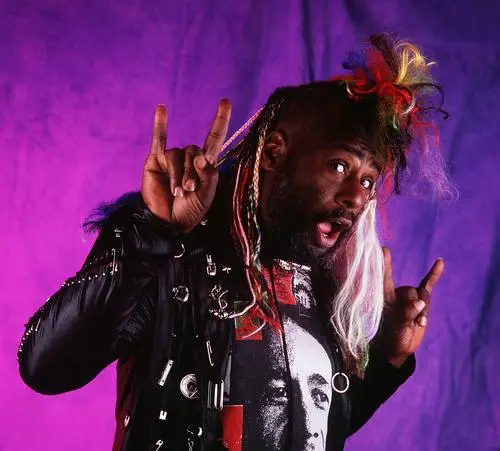 George Clinton Wall Poster picture 502089