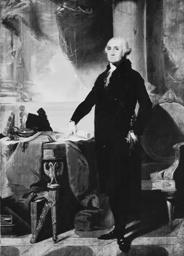 George Washington Wall Poster picture 478431