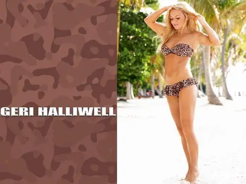 Geri Halliwell Jigsaw Puzzle picture 136570