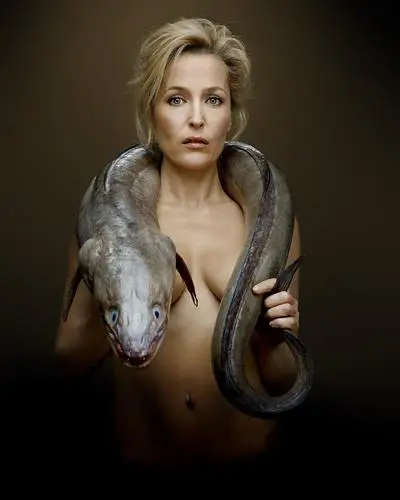 Gillian Anderson Wall Poster picture 289625