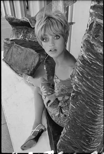 Goldie Hawn Fridge Magnet picture 619519