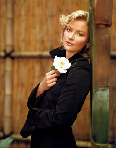 Gretchen Mol Wall Poster picture 35175