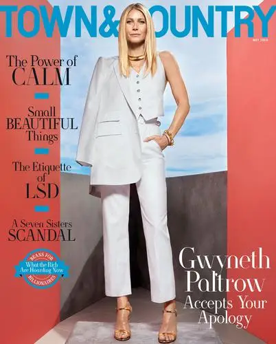 Gwyneth Paltrow Wall Poster picture 14365