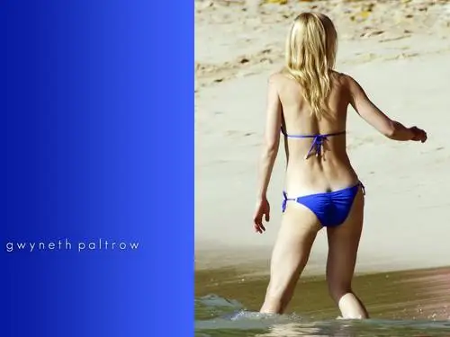 Gwyneth Paltrow Women's Colored Hoodie - idPoster.com
