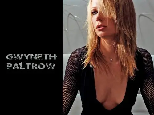Gwyneth Paltrow Fridge Magnet picture 137053