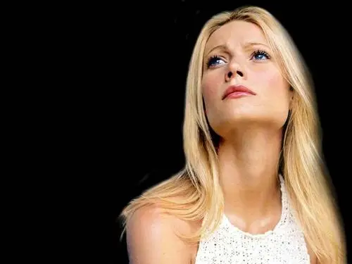 Gwyneth Paltrow Jigsaw Puzzle picture 96452