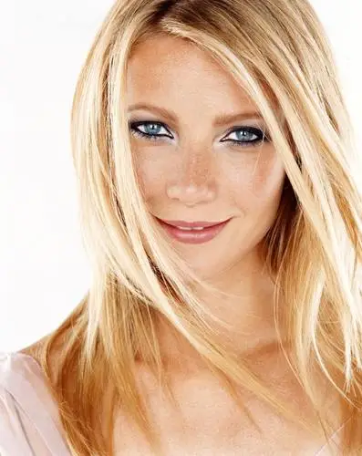 Gwyneth Paltrow Jigsaw Puzzle picture 96455
