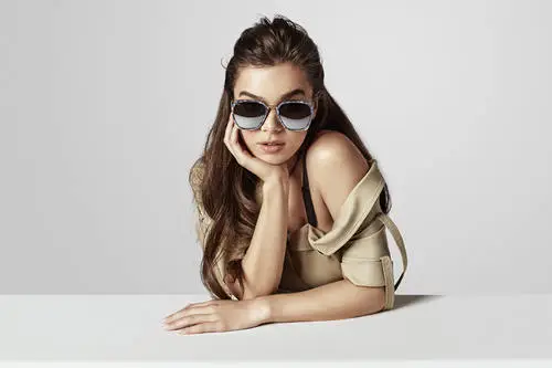 Hailee Steinfeld Jigsaw Puzzle picture 684155