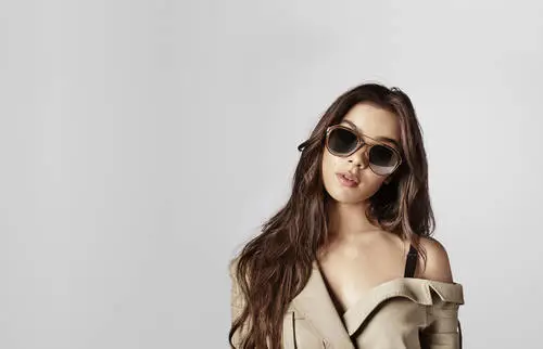 Hailee Steinfeld Jigsaw Puzzle picture 684160