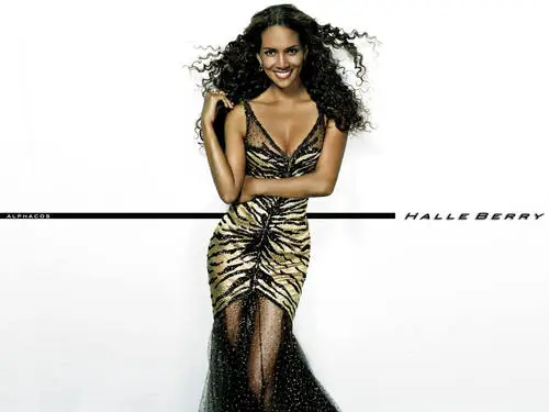 Halle Berry Wall Poster picture 137111