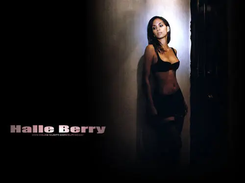Halle Berry Wall Poster picture 137113