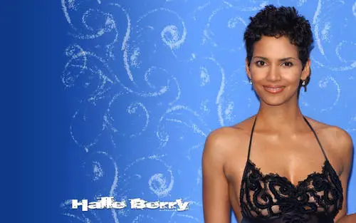 Halle Berry Wall Poster picture 435478