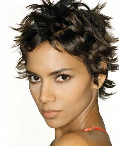 Halle Berry Wall Poster picture 8188
