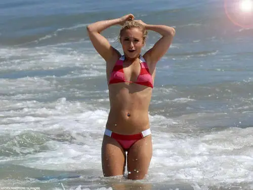 Hayden Panettiere Wall Poster picture 137184