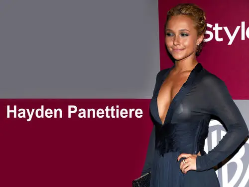 Hayden Panettiere Jigsaw Puzzle picture 137249
