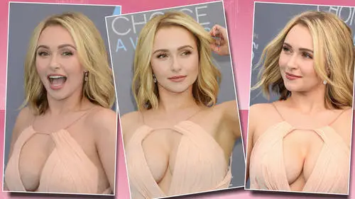Hayden Panettiere Jigsaw Puzzle picture 639850