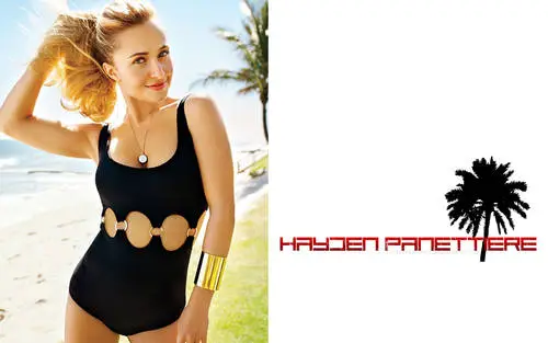 Hayden Panettiere Wall Poster picture 639851