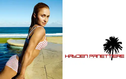 Hayden Panettiere Wall Poster picture 639941