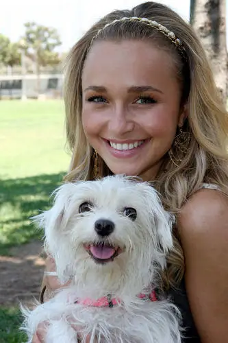 Hayden Panettiere Jigsaw Puzzle picture 8406