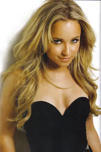 Hayden Panettiere Wall Poster picture 8509