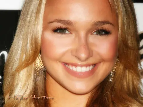 Hayden Panettiere Wall Poster picture 8541