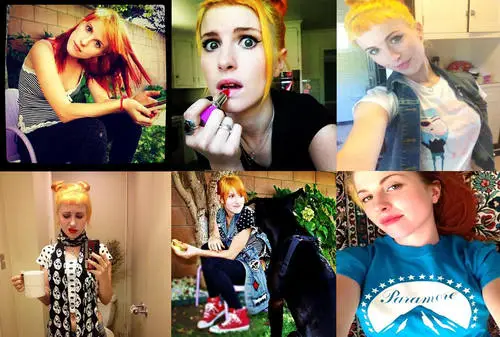 Hayley Williams Wall Poster picture 233744