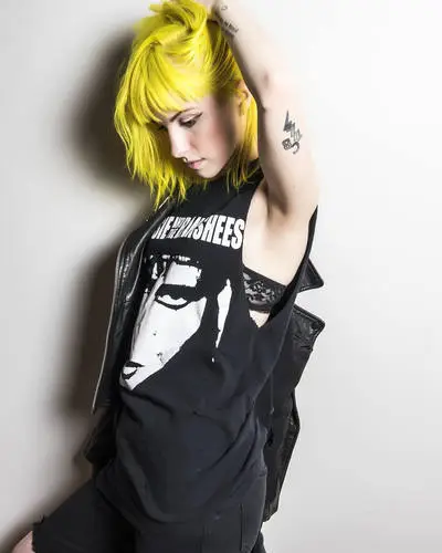 Hayley Williams Wall Poster picture 622519