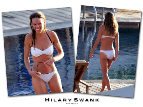 Hilary Swank Jigsaw Puzzle picture 137734