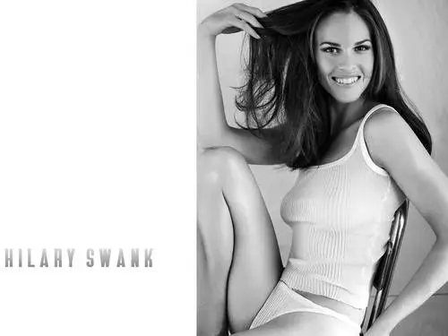 Hilary Swank Wall Poster picture 137765