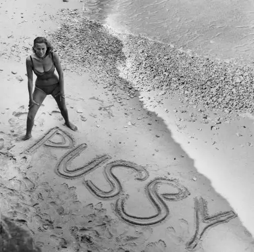Honor Blackman Jigsaw Puzzle picture 359402