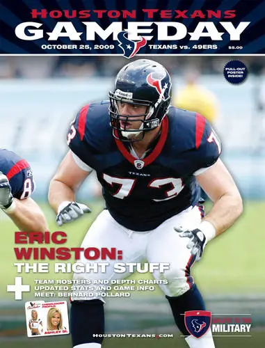 Houston Texans Jigsaw Puzzle picture 52255