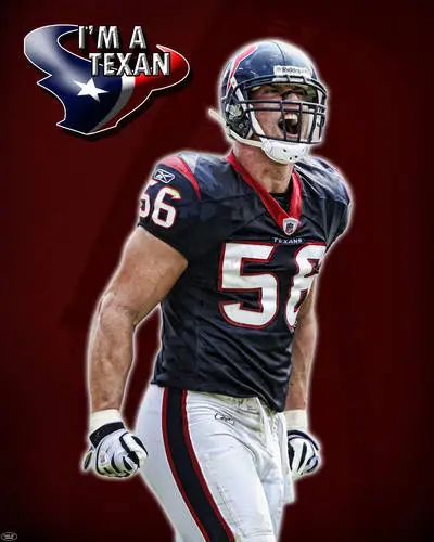 Houston Texans Protected Face mask - idPoster.com