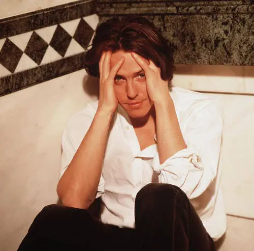 Hugh Grant Wall Poster picture 79429