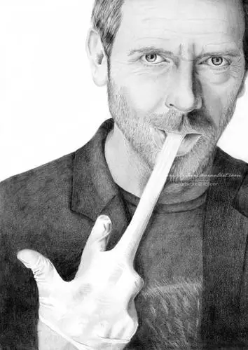 Hugh Laurie Wall Poster picture 87790