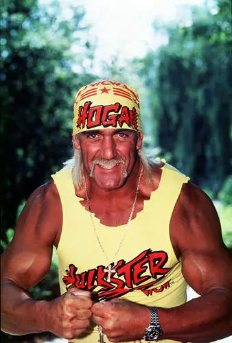 Hulk Hogan White T-Shirt - idPoster.com