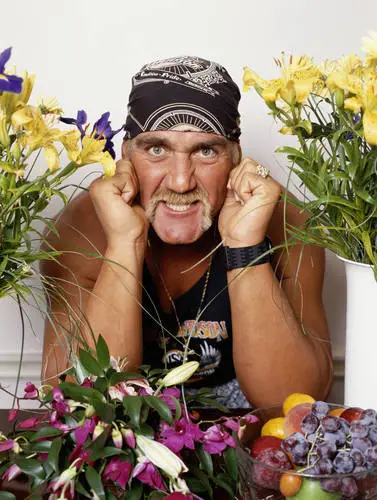 Hulk Hogan Fridge Magnet picture 538653