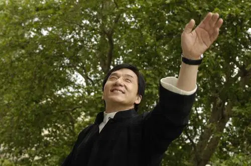 Jackie Chan Jigsaw Puzzle picture 511542